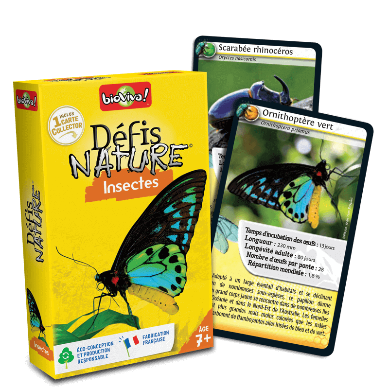 Défis Nature Insectes - Jeu à partir de 7 ans - Bioviva, créateur de jeux qui font du bien.