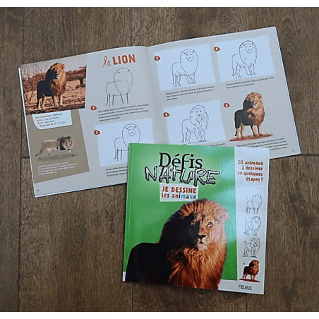 Libros Desafíos Naturaleza - Dibujo Animales