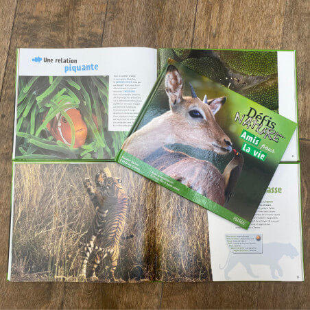 Nature Challenge Books -  Friends for life