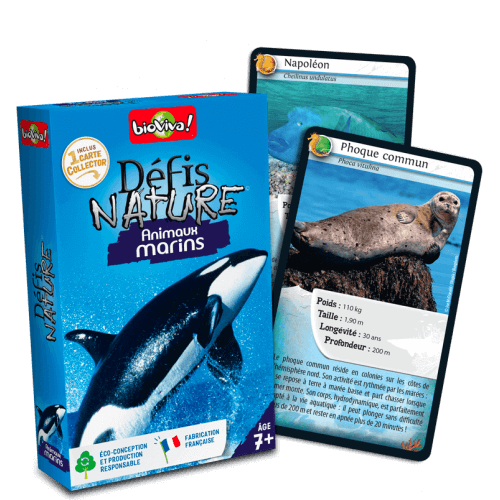 Défis Nature Animaux marins - Jeu à partir de 7 ans - Bioviva, créateur de jeux qui font du bien.
